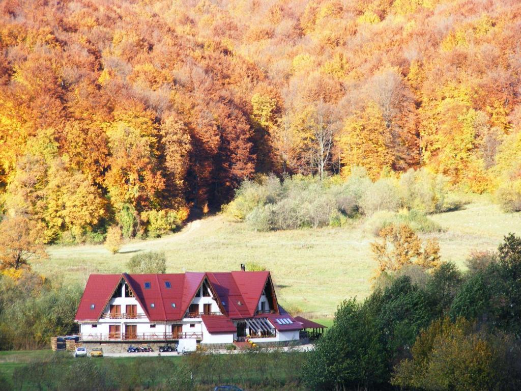 Pensiunea Rasnov エクステリア 写真